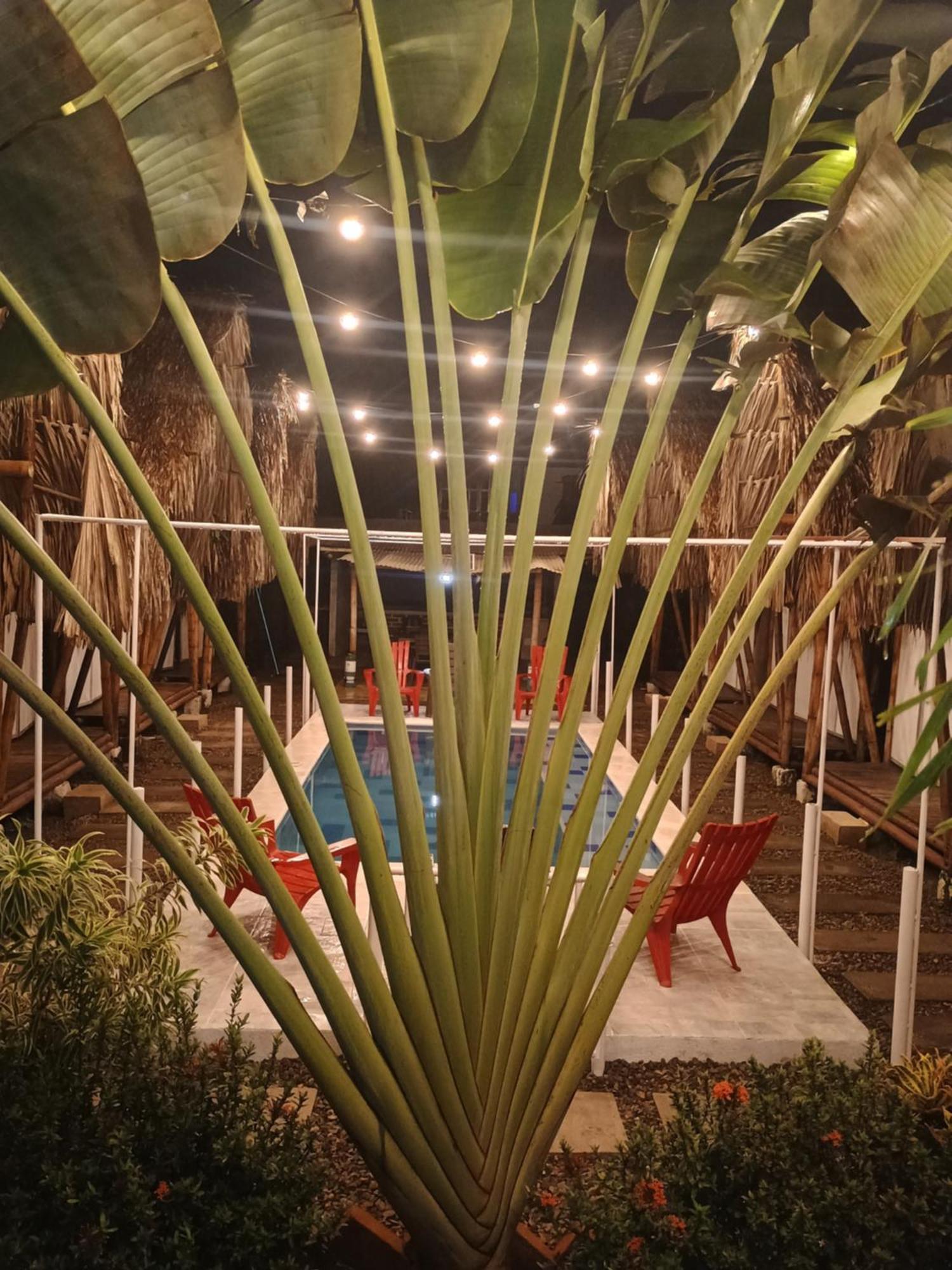 Cabana Beach Palomino Bagian luar foto